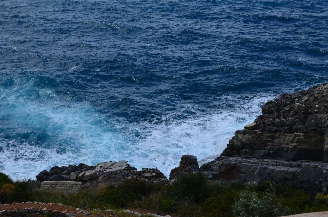 Pogonitsa Διαμέρισμα Kotronion  Εξωτερικό φωτογραφία